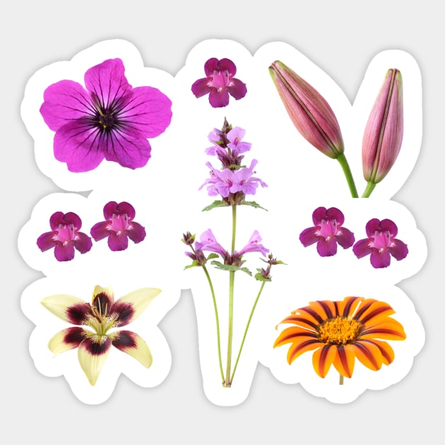 Assorted flowers Sticker by chrisburrows